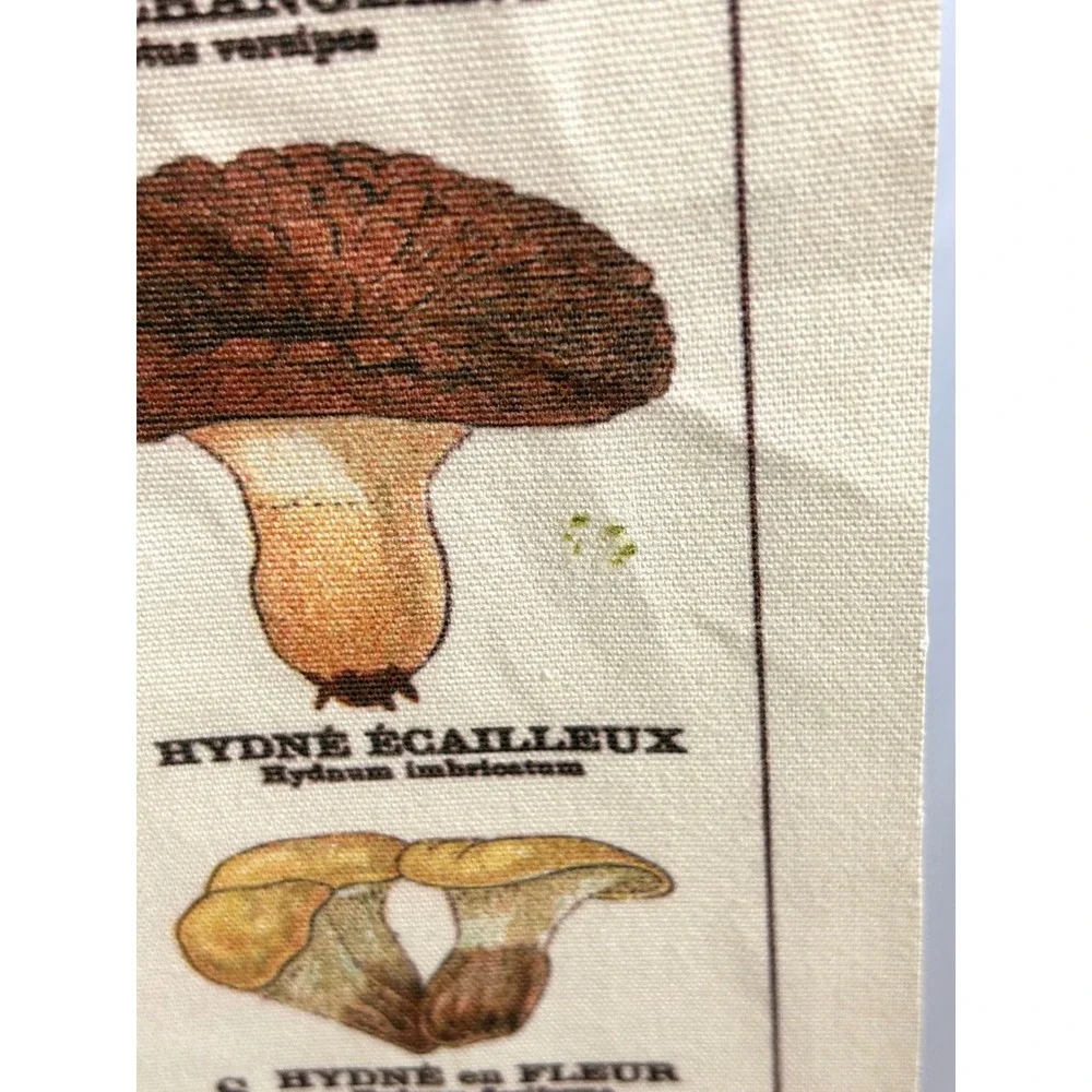 Vintage French Mushroom Botanical Scroll Wall Hanging Canvas Fungi Chart Art